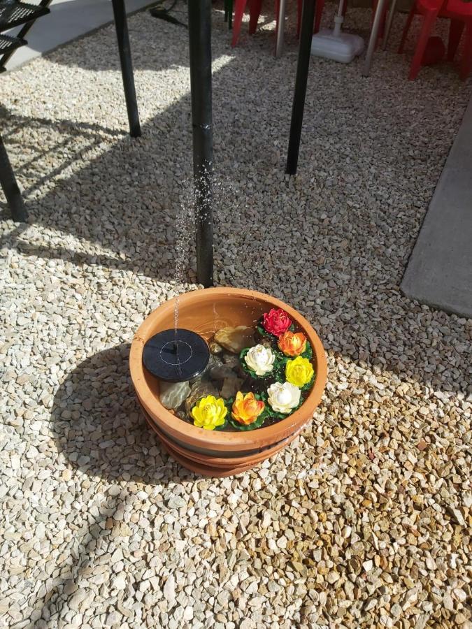Casa IV Otel Vama Veche Dış mekan fotoğraf