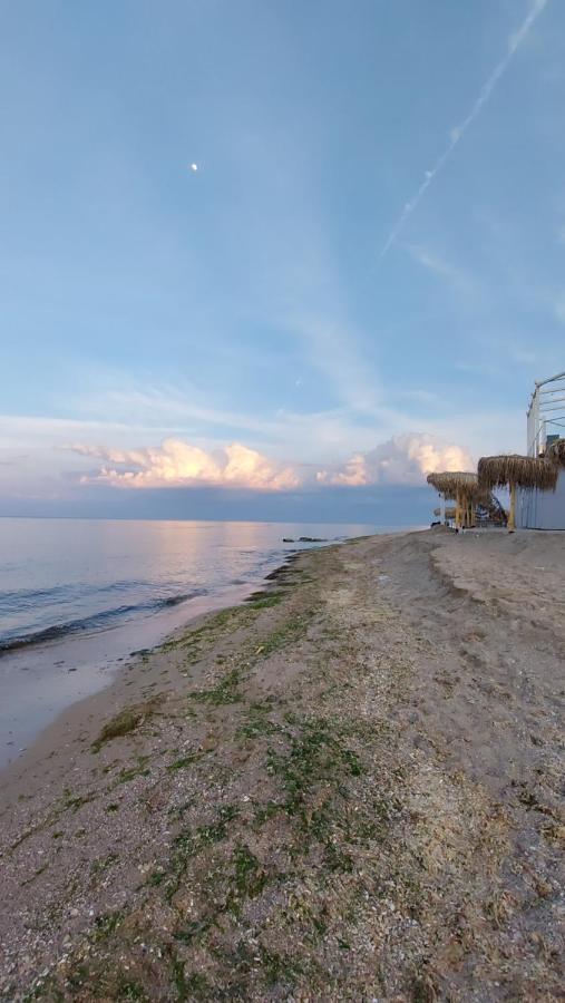 Casa IV Otel Vama Veche Dış mekan fotoğraf